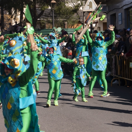 Carnaval de Cebreros 2024