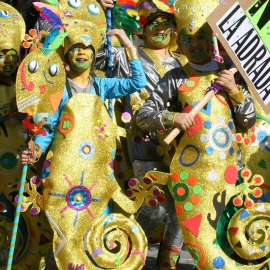 Carnaval provincial