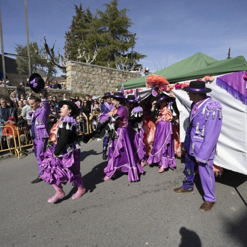 Carnaval de Cebreros 2026