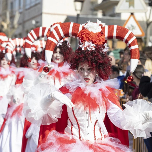 Carnaval de Cebreros 2026