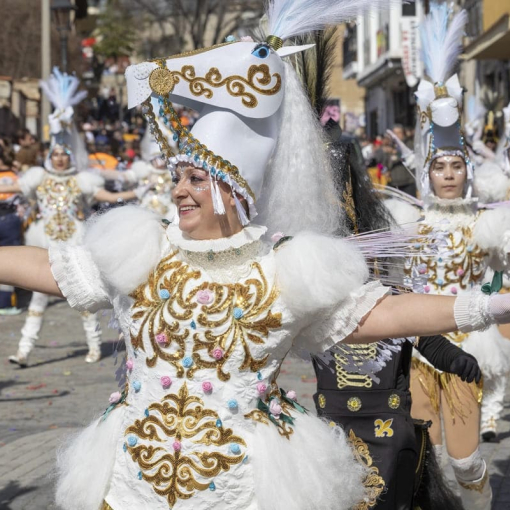 Carnaval de Cebreros 2026