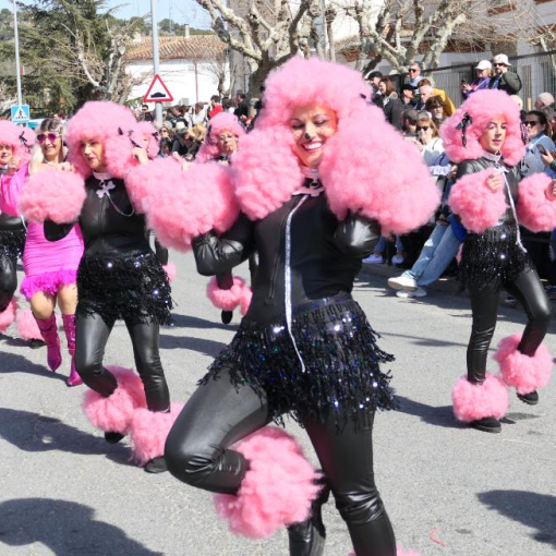 Carnaval de Cebreros 2026