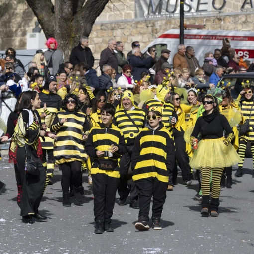 Carnaval de Cebreros 2026